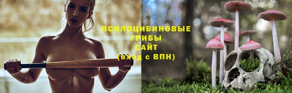 дмт Белокуриха