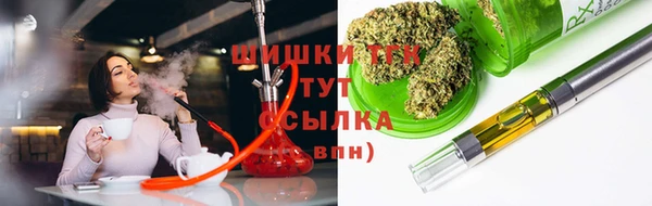 дмт Белокуриха