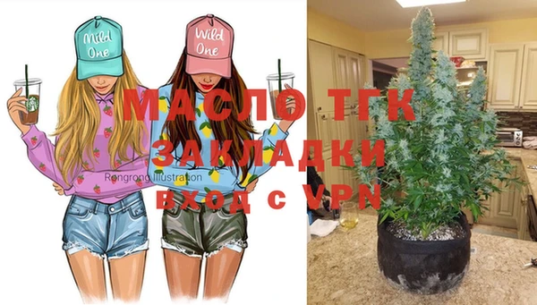 дмт Белокуриха