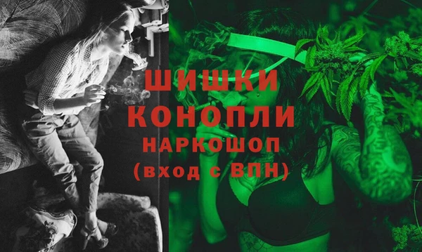 СК Богородск