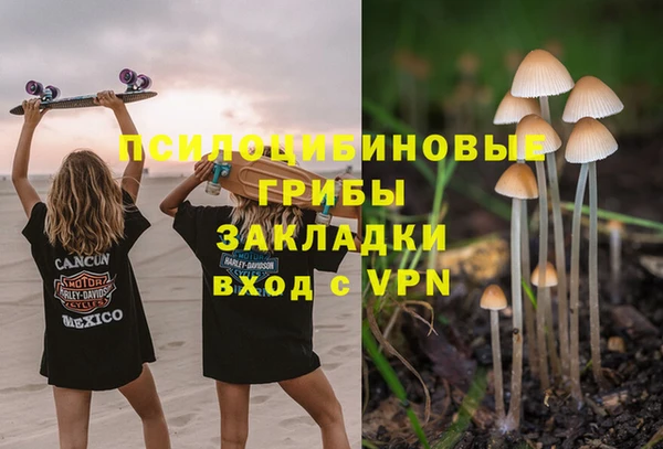 дмт Белокуриха