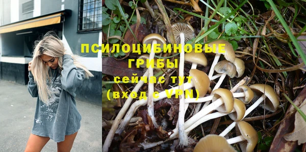 дурь Беломорск